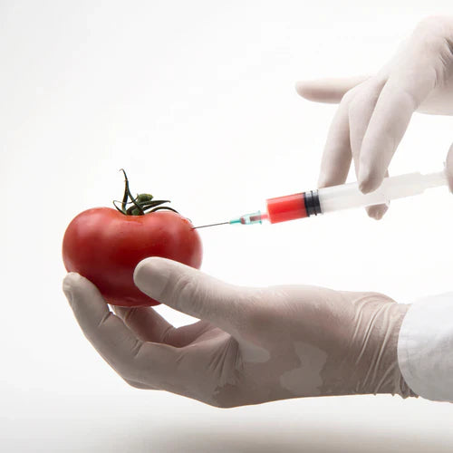 Why Choosing Non-GMO Foods Matters for Your Health